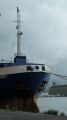 bulbe Poet - 29 mai 2013 (03).JPG